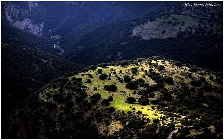 Apartamentos Turísticos Rurales Monte de las Ánimas Valdepenas de Jaen Exterior foto